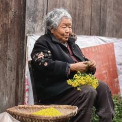 HUANG GU DA YUAN User Photo