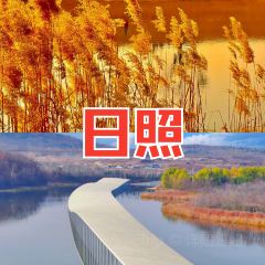 咖啡与树 User Photo