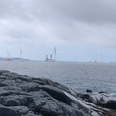 Yongheyuwan (daoshanlu) User Photo