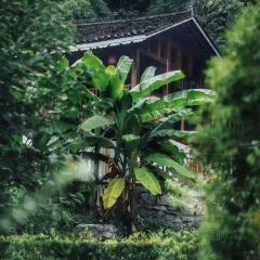 Yunshuiwan Resort Hotel Chinese Restaurant User Photo