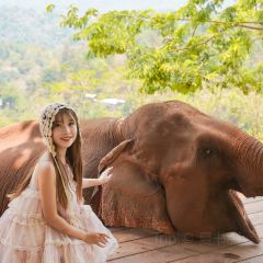 Elefin Farm & Cafe เอเลฟิน ฟาร์ม แอนด์ คาเฟ่ User Photo