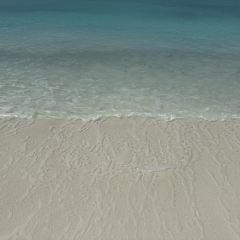 Summore Day User Photo