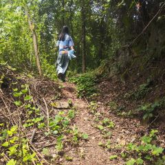 山涧别院 User Photo