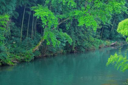 華都國際大酒店·華都食府
