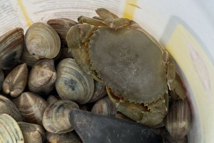 趣玩户外烧烤海边BBQ店(赶海一号店)