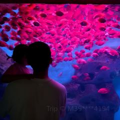 九里羊汤馆(鼓楼园林店) User Photo