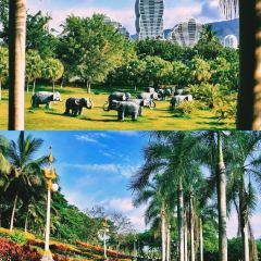 chouburi User Photo