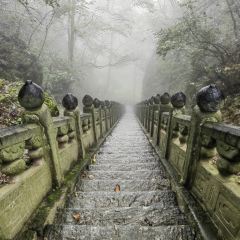 海底捞火锅(东津民发世纪广场店) User Photo