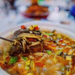 憨哥鱼庄·宜昌肥鱼·始于1999(东郡店) User Photo