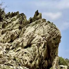红果果辣糊糊(银川旗舰店) 여행 사진