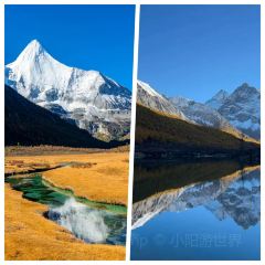Bawa Tibetan Food User Photo