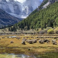 Mom's Restaurant User Photo