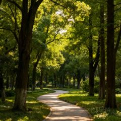 WAN XI REN GU TU CAI GUAN 여행 사진