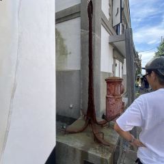 Pastry Snaffle's User Photo