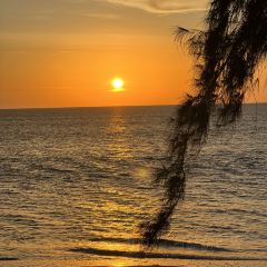 Ginja Taste User Photo