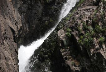 江东饺子馆(江东路店) User Photo