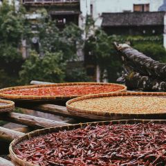 半岛南山Coffee User Photo