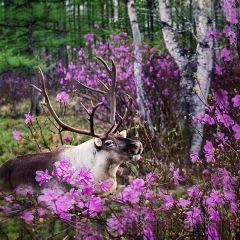 AO LU GU YA User Photo