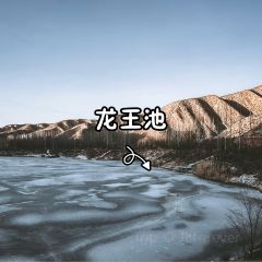 年年有渔渔府(滨河大道店) User Photo