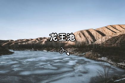 年年有漁漁府