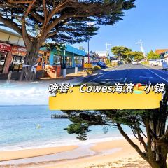 SkyHigh Mount Dandenong User Photo