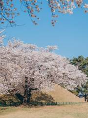 普門觀光園區