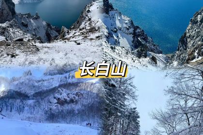 悦府东北私房菜·饺子王·铁锅炖(长白山万达店)