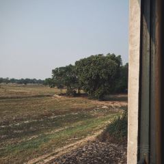 Somtum Jinda User Photo