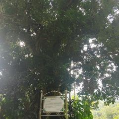 雅布伦享水谷共享农庄·黎享林奢 User Photo