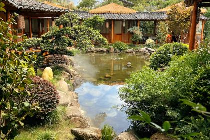 野炉子·山野景德菜(浮梁店)