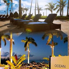 Ohas cafe (Kensington) User Photo