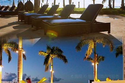 Ohas cafe (Kensington)