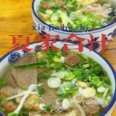 思露杏皮茶 User Photo