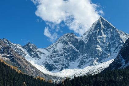 永利藏餐(马尔康八六藏餐分店)