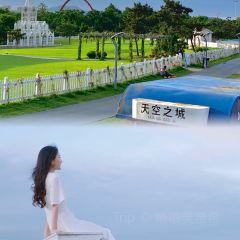 咖啡与树 User Photo