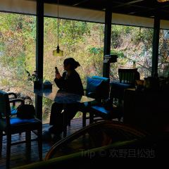 禾场咖啡(三宝店) User Photo