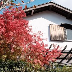 Irori Beniya User Photo