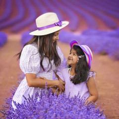 Port Arthur Lavender User Photo