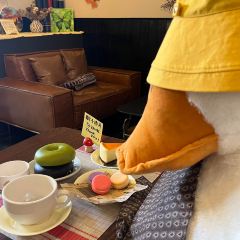 pieloco COFFEE 여행 사진