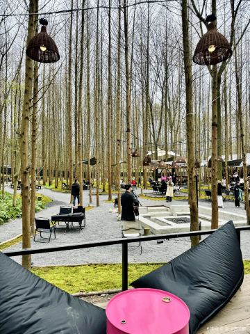 Chunya Island Forest Camp