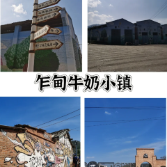 zi yang shao kao ảnh của người dùng
