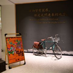 Qilinshuju User Photo