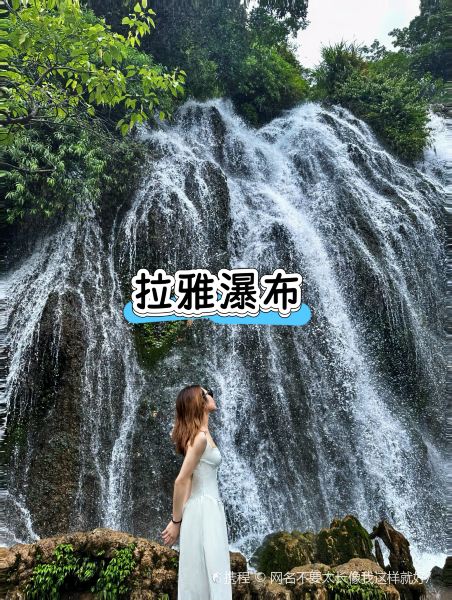 正宗苗家酸汤鱼