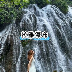 正宗苗家酸湯魚張用戶圖片