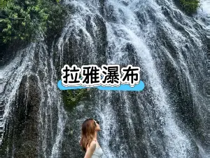 正宗苗家酸湯魚