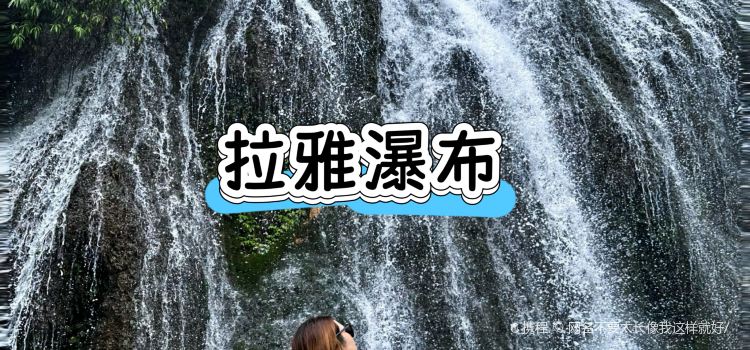 正宗苗家酸湯魚