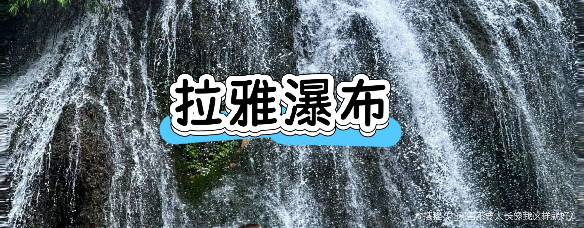 正宗苗家酸汤鱼