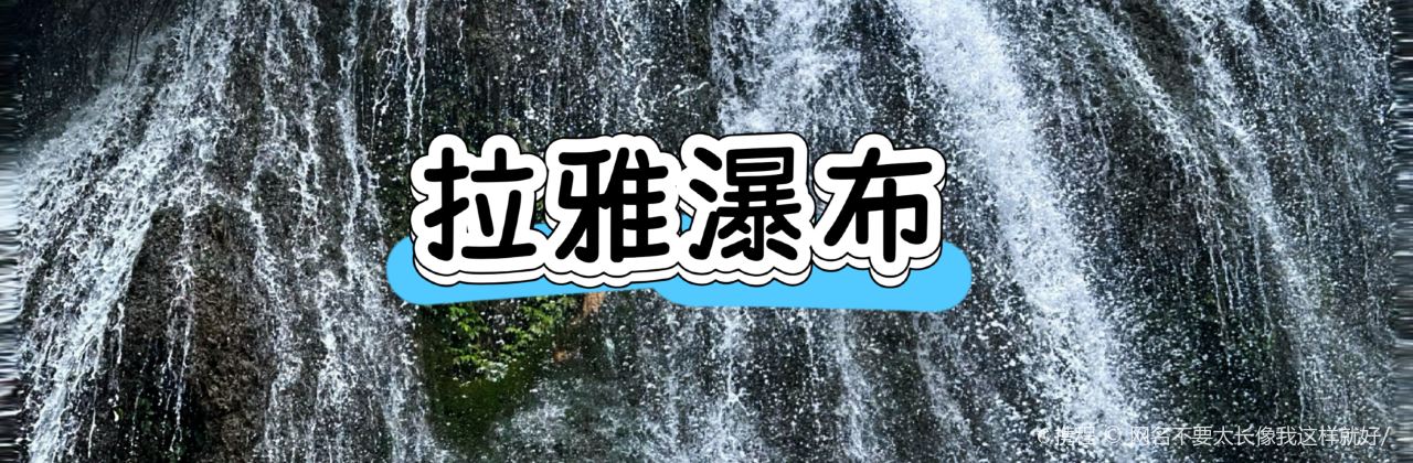 正宗苗家酸汤鱼