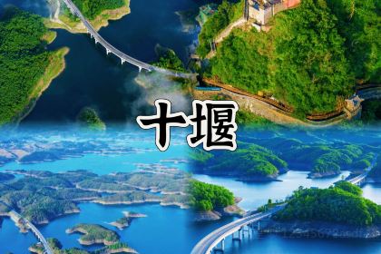 LuoYang ZhenBuTong Restaurant (ZhongZhou East Road)