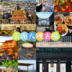 HONG YING NOSHERY User Photo